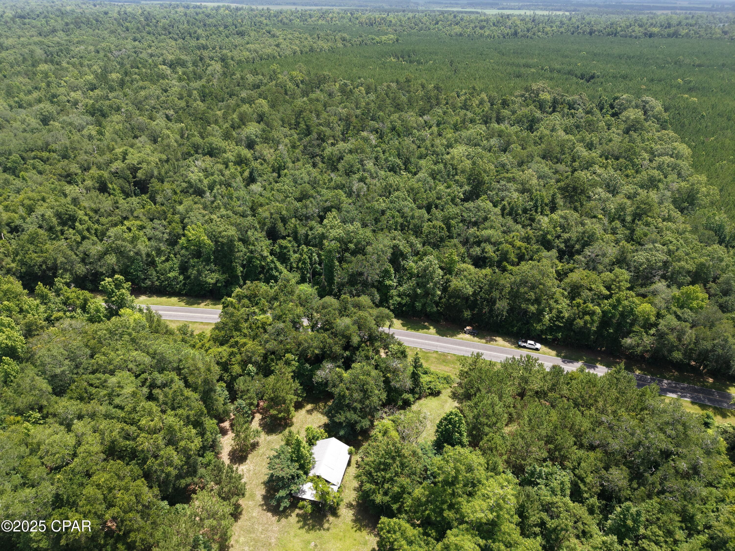 0 River Road Bascom, FL 32423 - Photo 7 of 20