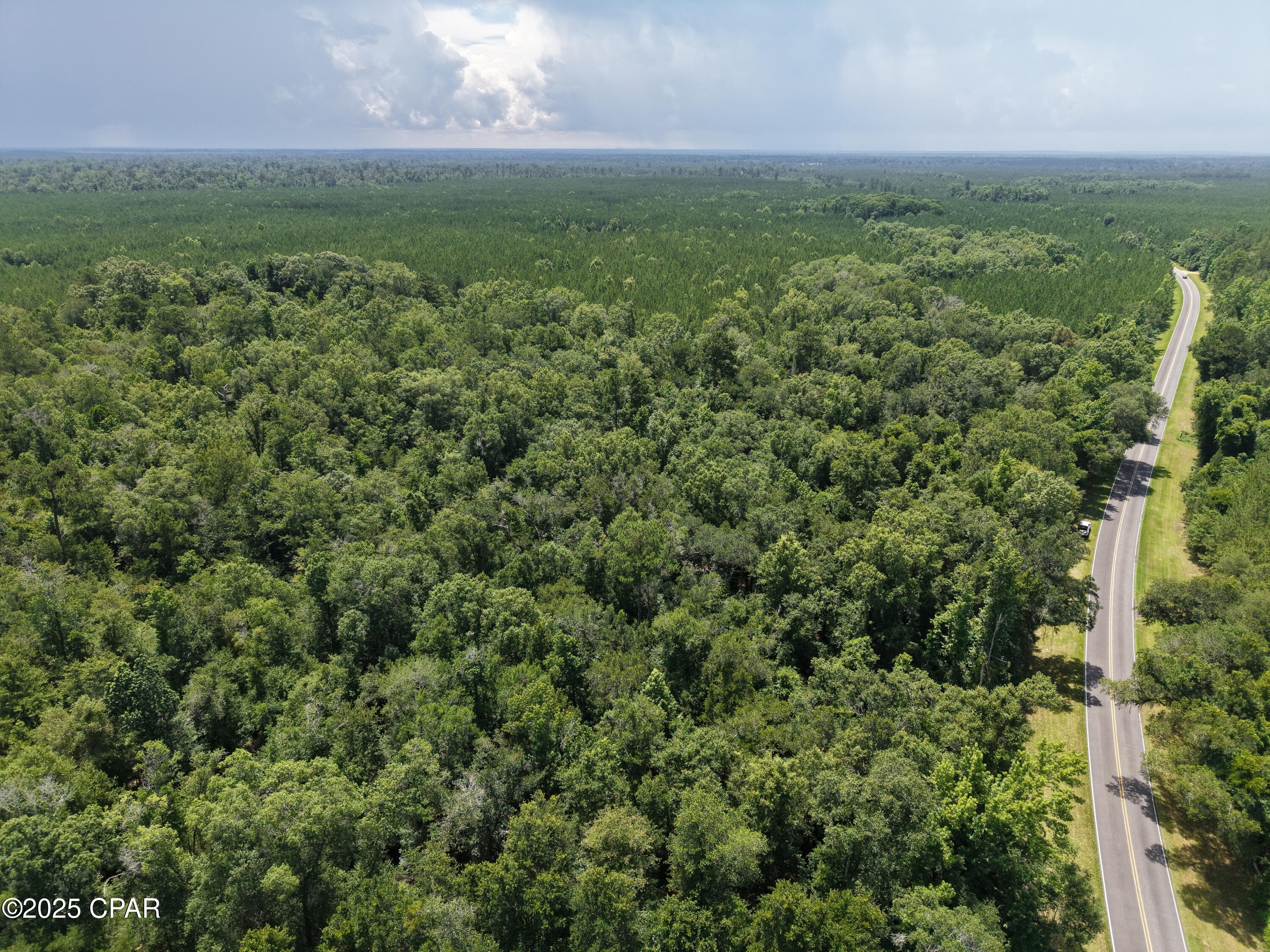 0 River Road Bascom, FL 32423 - Photo 8 of 20