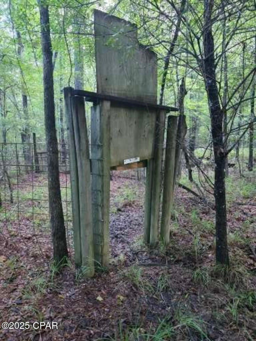 0 River Road Bascom, FL 32423 - Photo 9 of 20