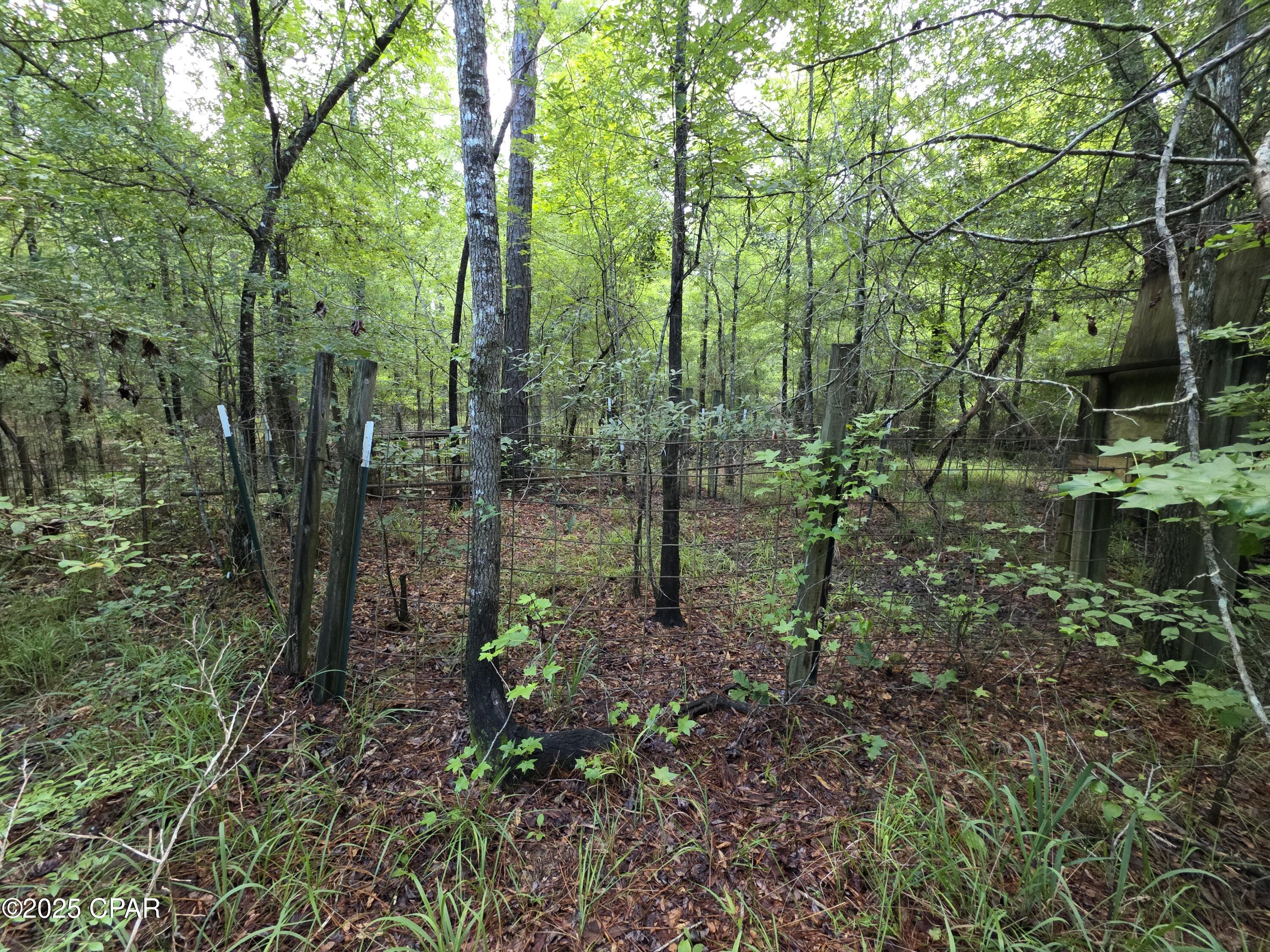 0 River Road Bascom, FL 32423 - Photo 10 of 20