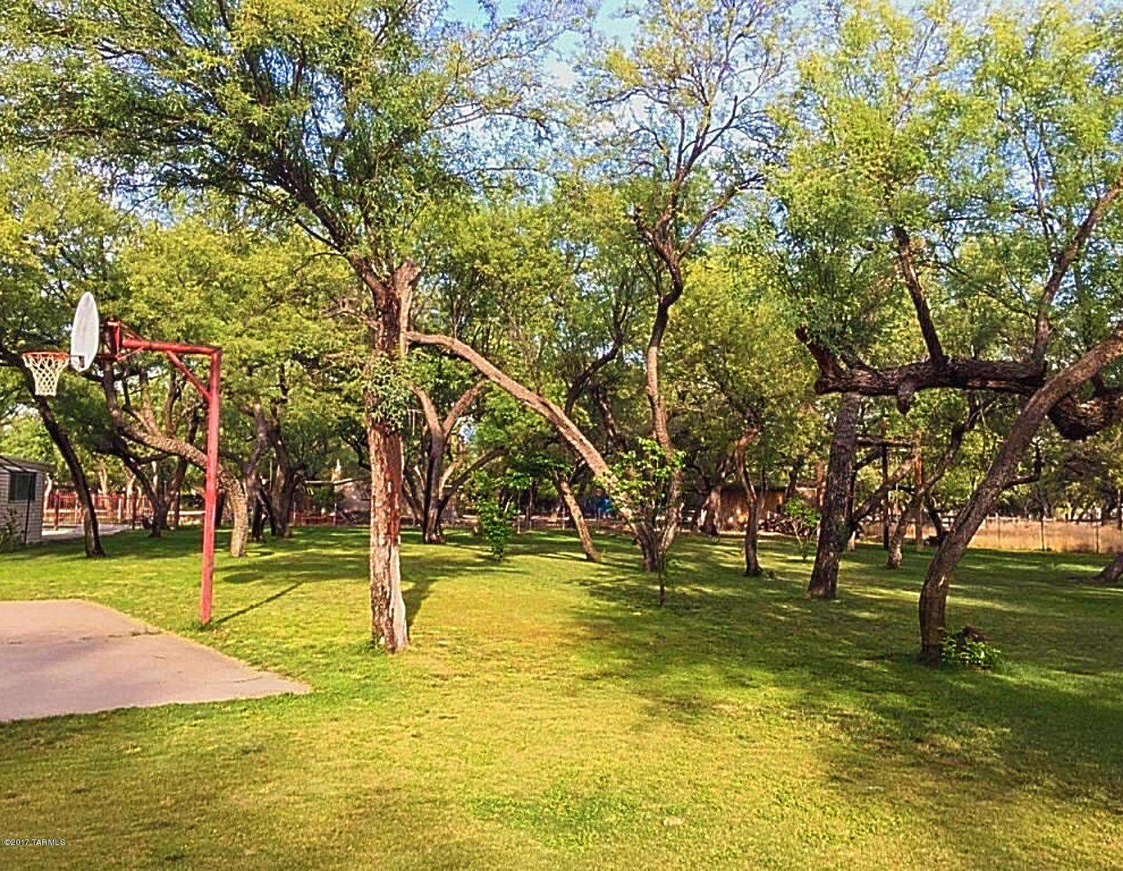 8031 East Tanque Verde Road Tucson, AZ 85749 - Photo 6 of 16