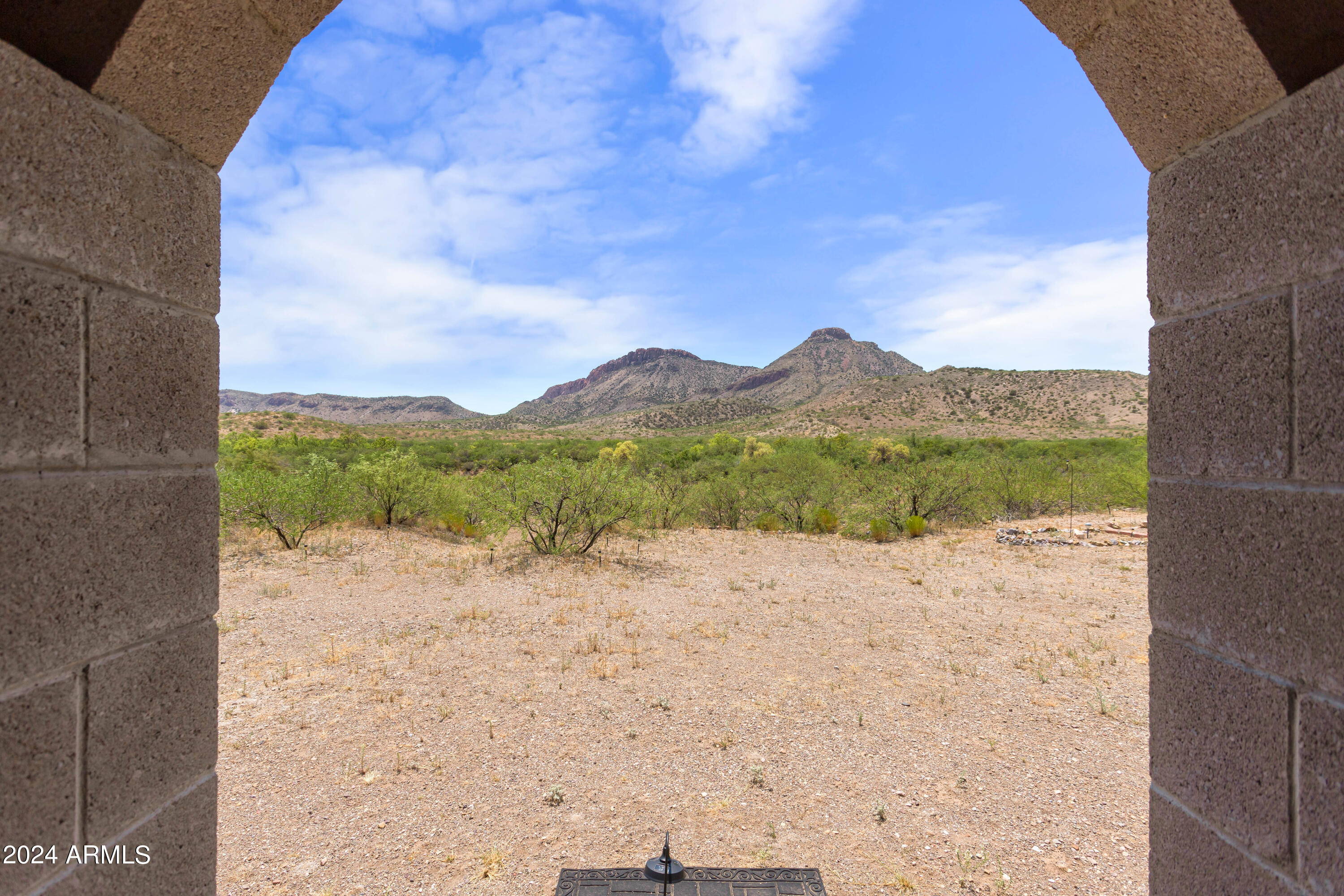 4500 Highway 80 Douglas, AZ 85607 - Photo 40 of 40 a view of a road from a yard