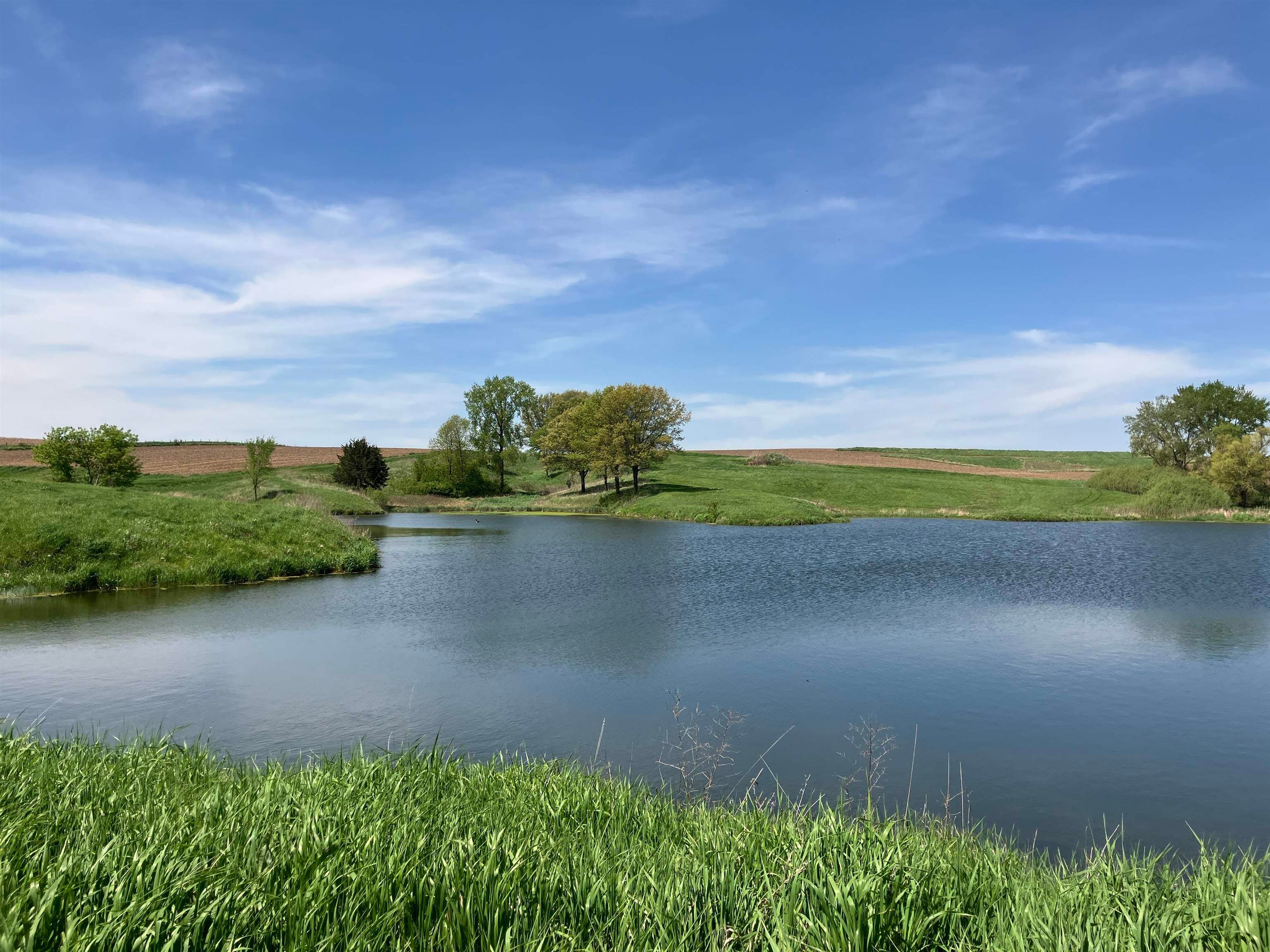 Tract #2 Garryowen Road Cascade, IA 52033 - Photo 1 of 1 Gallery Image 1
