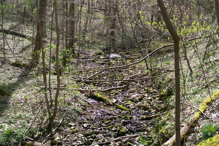 1912 Joppa Road Walling, TN 38587 - Photo 12 of 23