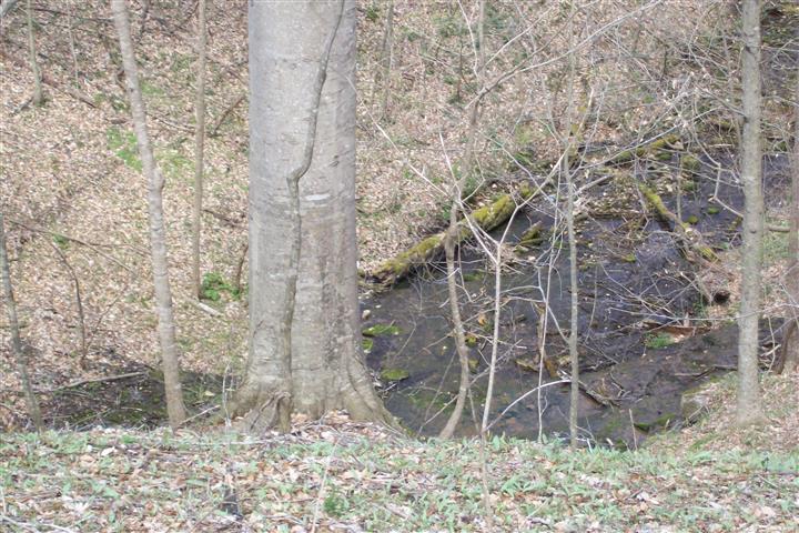 1912 Joppa Road Walling, TN 38587 - Photo 14 of 23