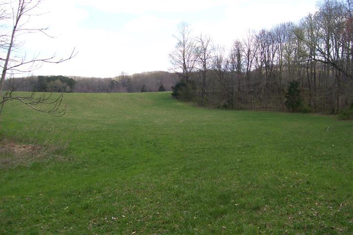 1912 Joppa Road Walling, TN 38587 - Photo 16 of 23 a view of a grassy field with trees in the background
