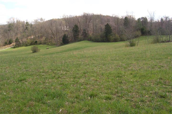 1912 Joppa Road Walling, TN 38587 - Photo 18 of 23 a view of an outdoor space and a yard