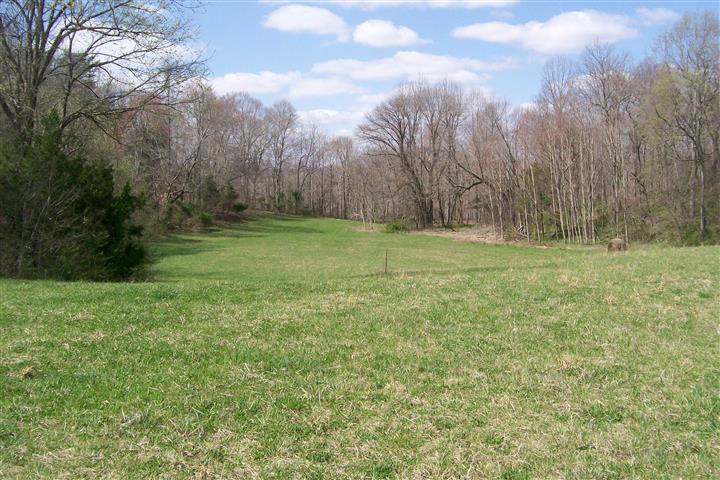 1912 Joppa Road Walling, TN 38587 - Photo 2 of 23 a view of outdoor space with trees all around