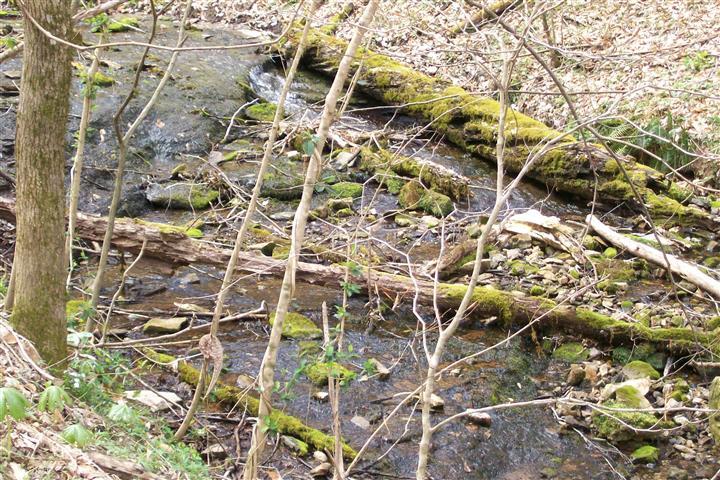 1912 Joppa Road Walling, TN 38587 - Photo 21 of 23 a backyard of a building