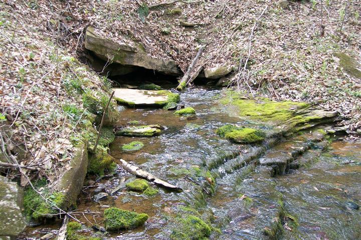 1912 Joppa Road Walling, TN 38587 - Photo 22 of 23 a backyard of a house with lots of green space