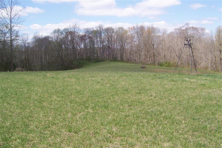1912 Joppa Road Walling, TN 38587 - Photo 5 of 23 a view of a backyard