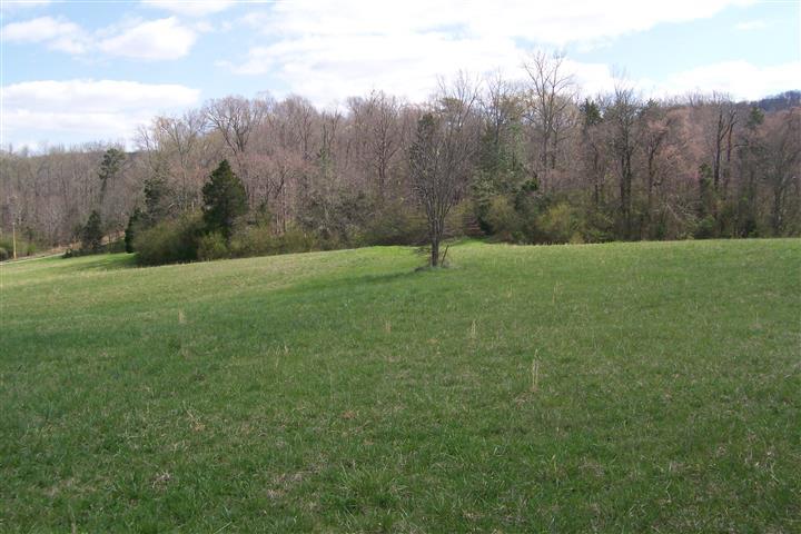 1912 Joppa Road Walling, TN 38587 - Photo 6 of 23 a view of field with trees in the background