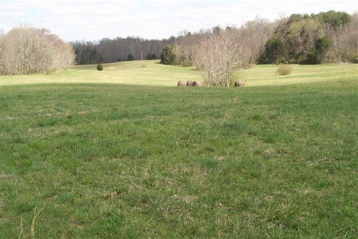 1912 Joppa Road Walling, TN 38587 - Photo 7 of 23 a view of a yard with trees