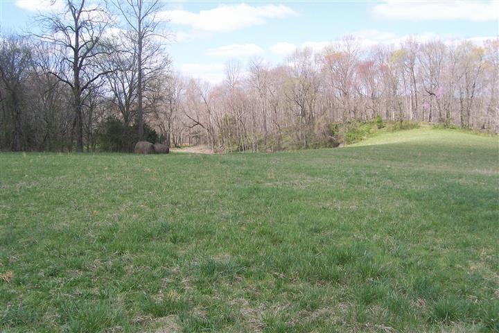 1912 Joppa Road Walling, TN 38587 - Photo 8 of 23 a backyard of a house with lots of green space