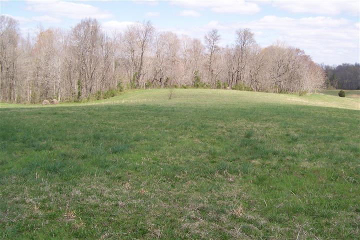 1912 Joppa Road Walling, TN 38587 - Photo 9 of 23 a view of grassy field with trees