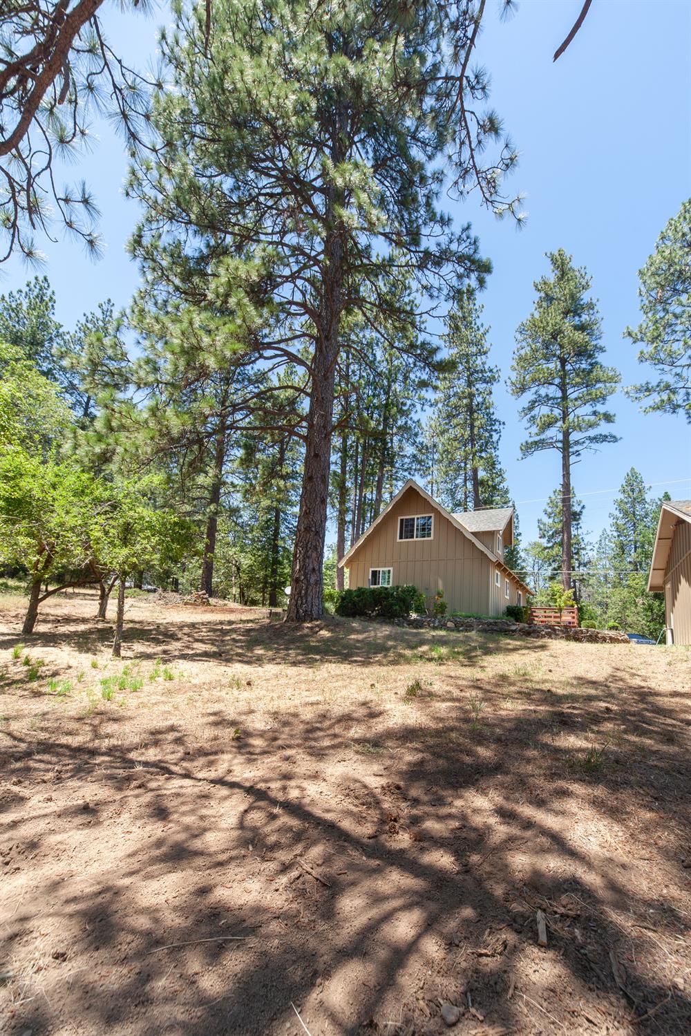 8370 Grizzly Flat Road Somerset, CA 95684 - Photo 7 of 29