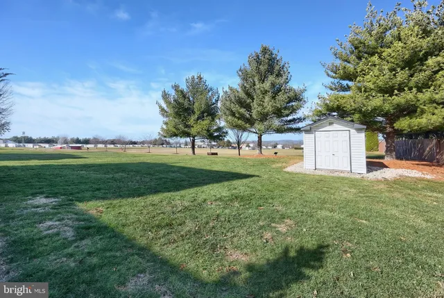 a view of a backyard with large trees