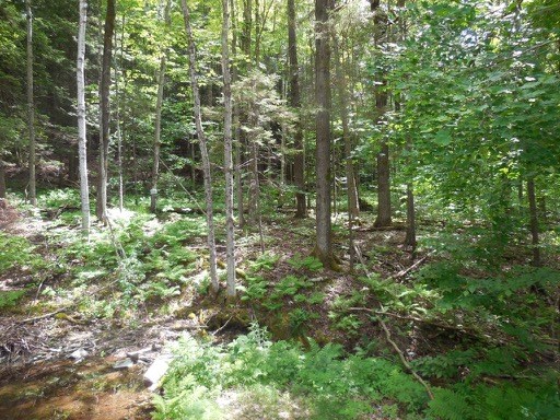 238 Dugar Rd Extension Calais, VT 05682 - Photo 29 of 40