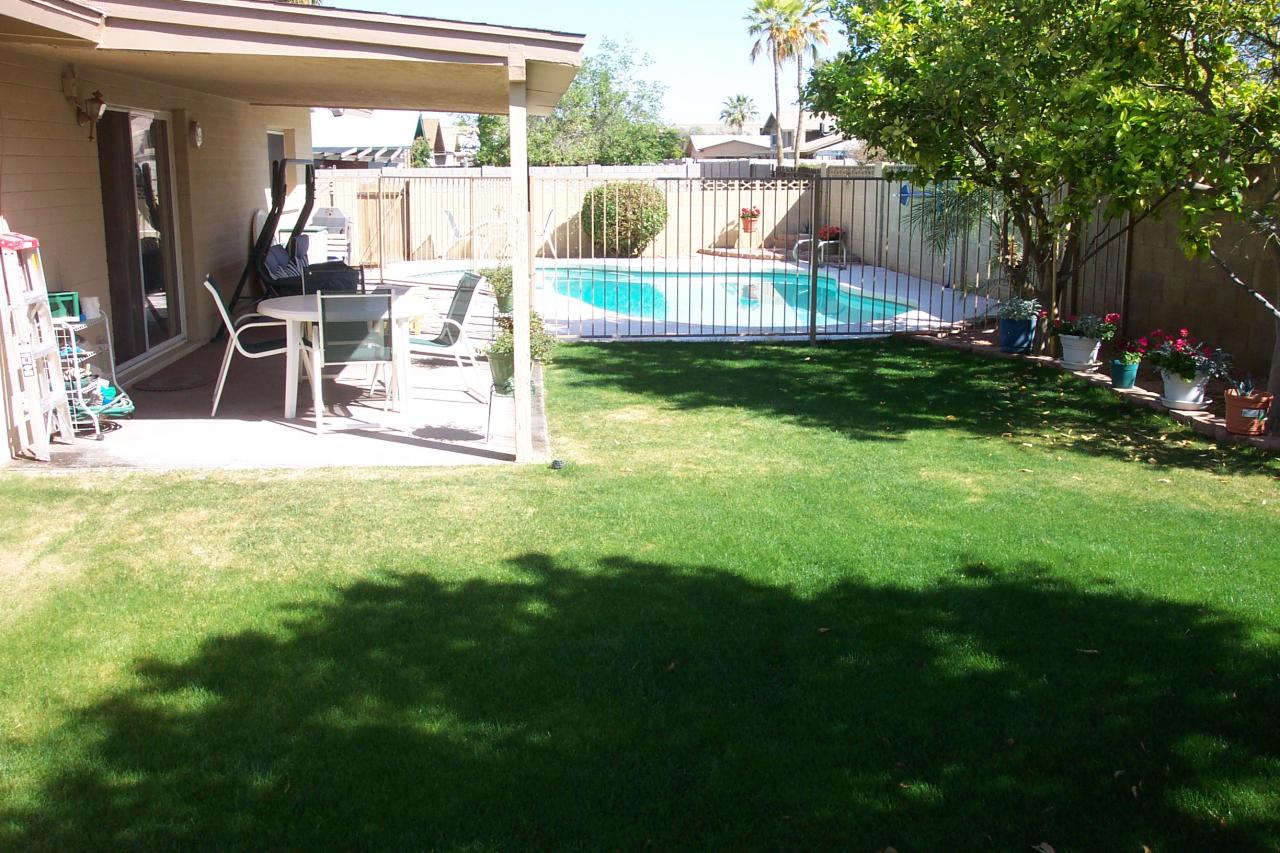 Backyard & Swimming Pool