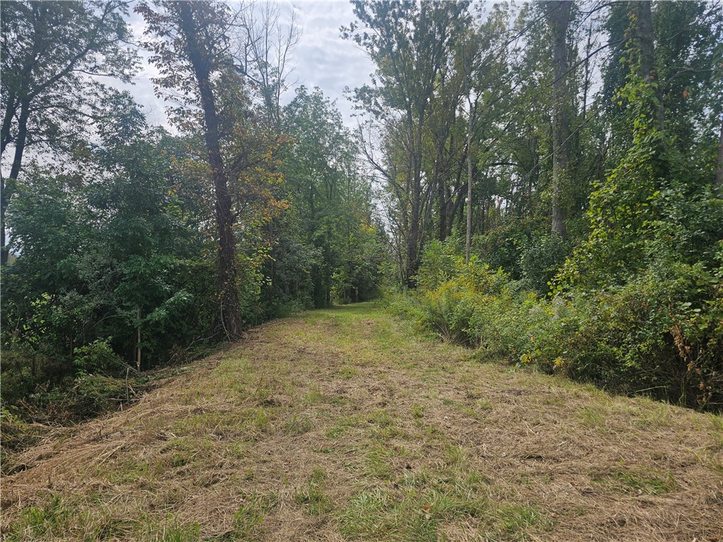 121 Buffalo Road Arcadia, NY 14513 - Photo 15 of 25 Gallery Image 15