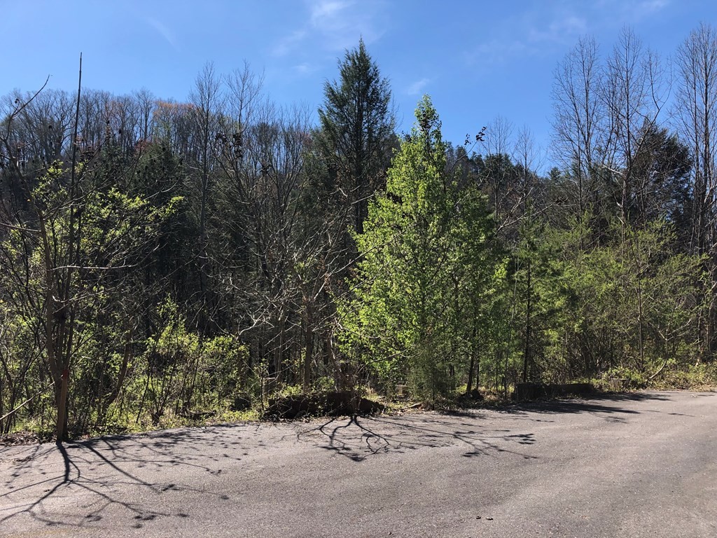 4222 Ball Hollow Road Cosby, TN 37722 - Photo 8 of 18