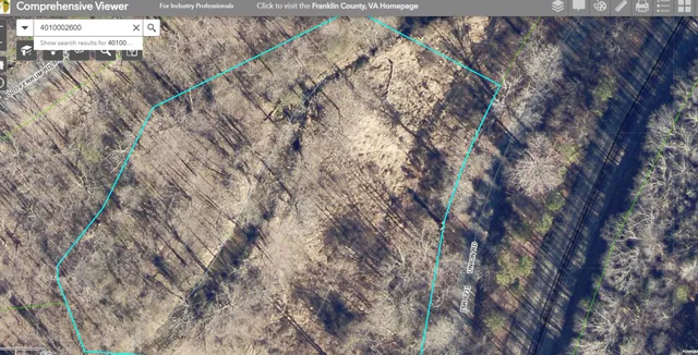 a close up of a tree