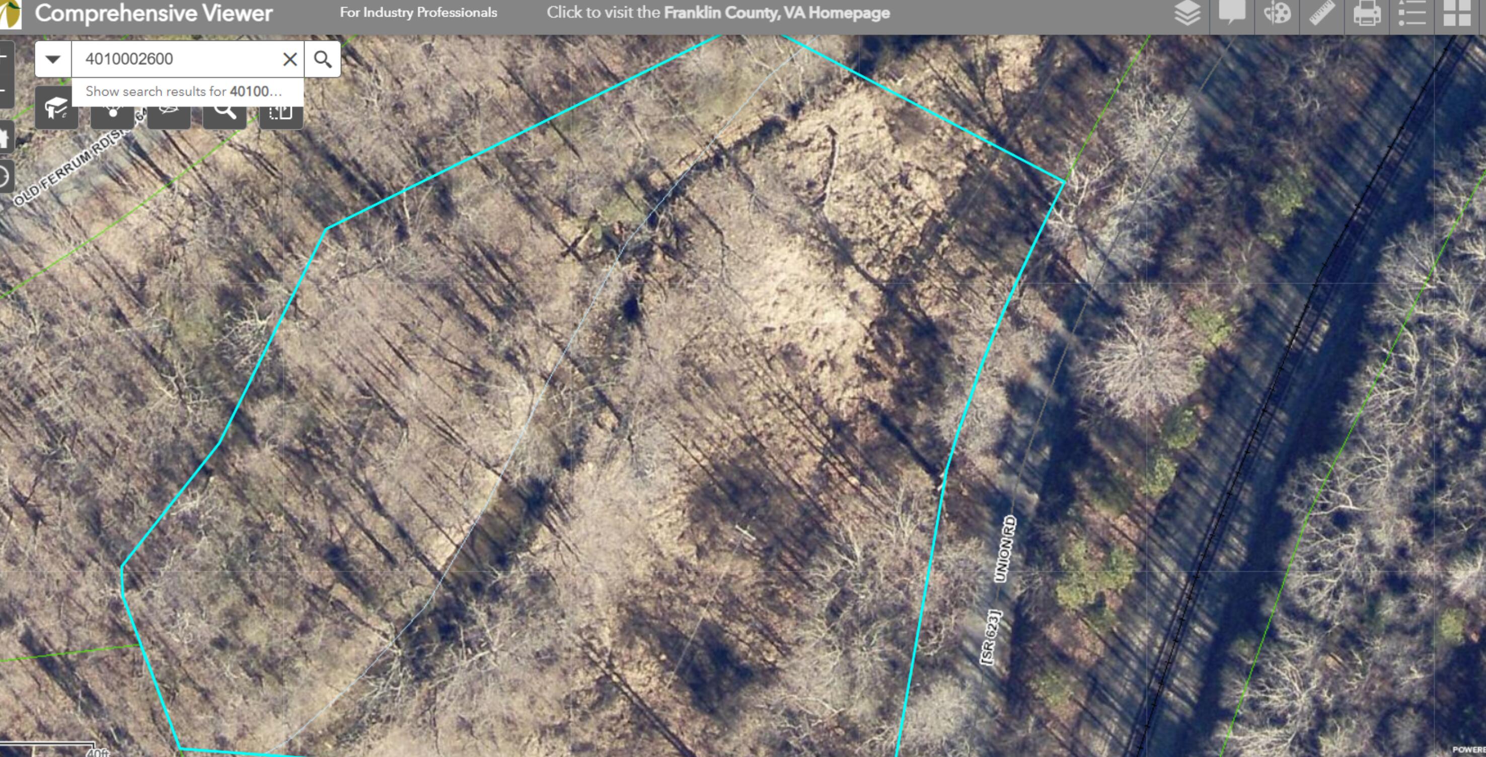 a close up of a tree