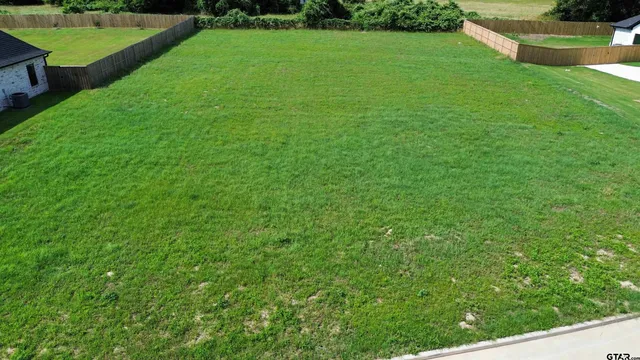 a view of garden with lawn chairs and large trees