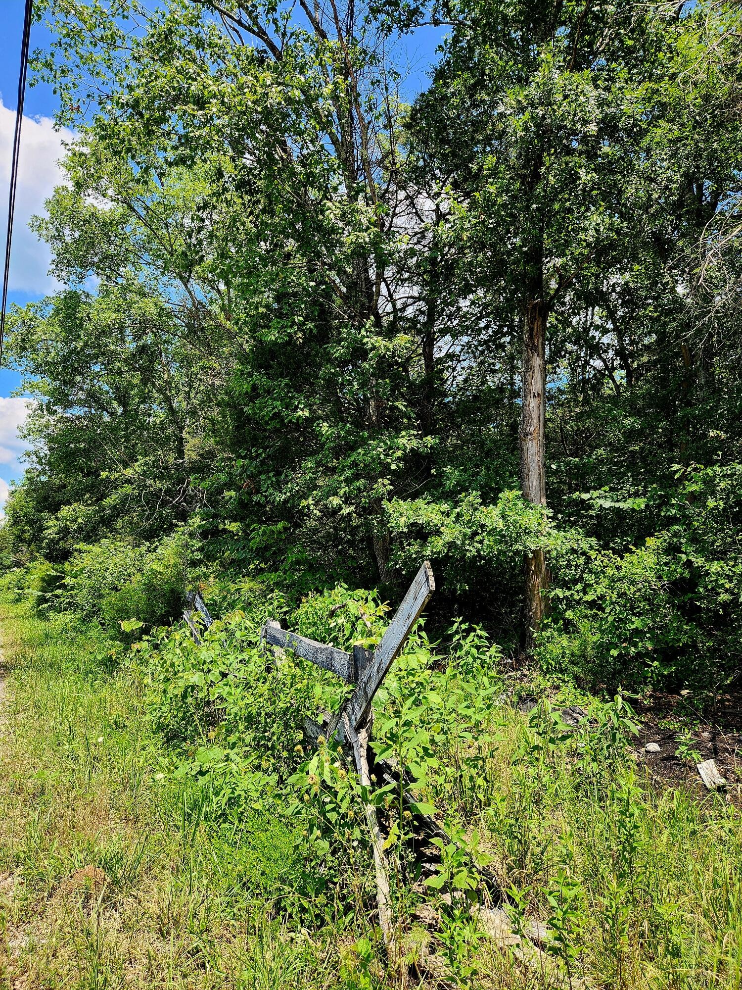 0 East Valley Road Pikeville, TN 37367 - Photo 12 of 18