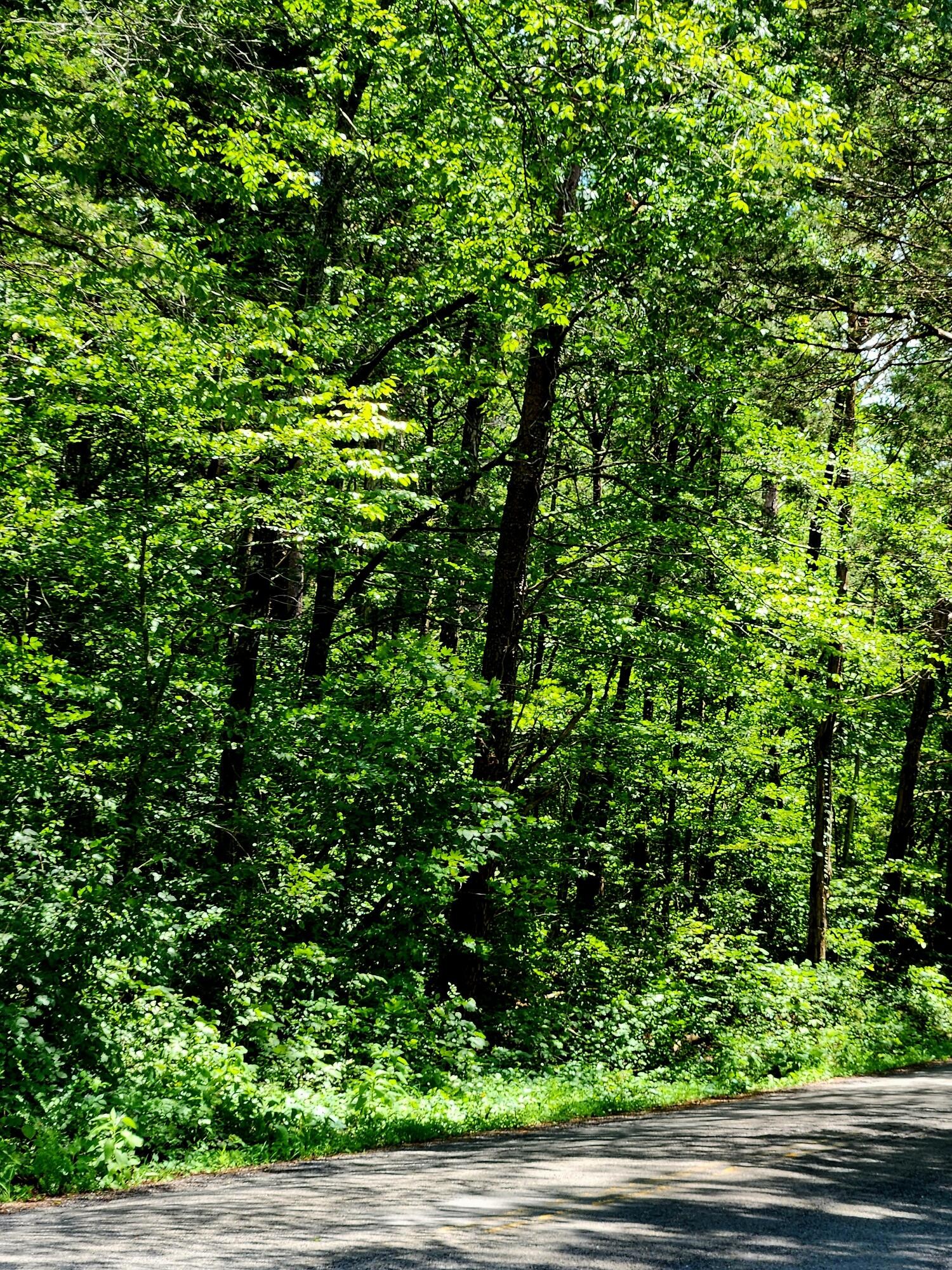 0 East Valley Road Pikeville, TN 37367 - Photo 14 of 18 a view of a yard