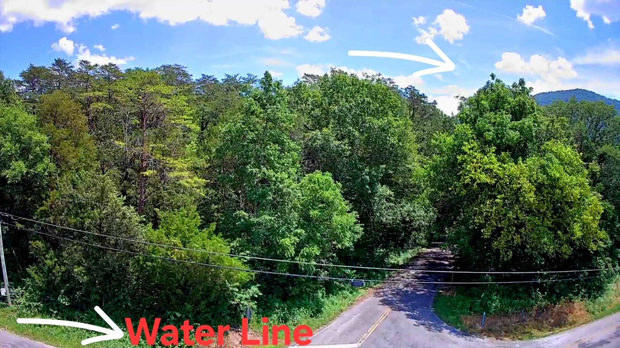 0 East Valley Road Pikeville, TN 37367 - Photo 15 of 18 a view of a garden