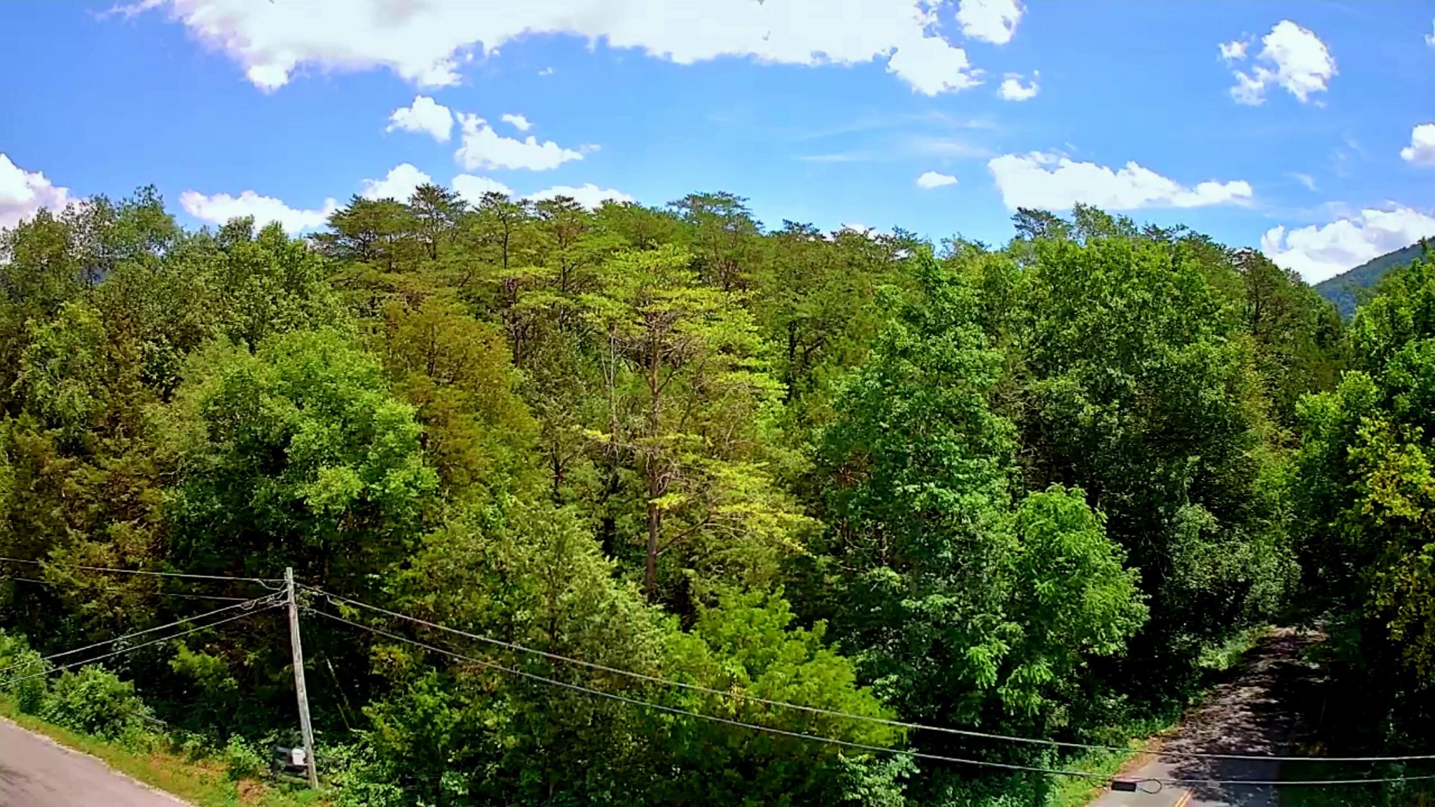 0 East Valley Road Pikeville, TN 37367 - Photo 16 of 18 a view of a city