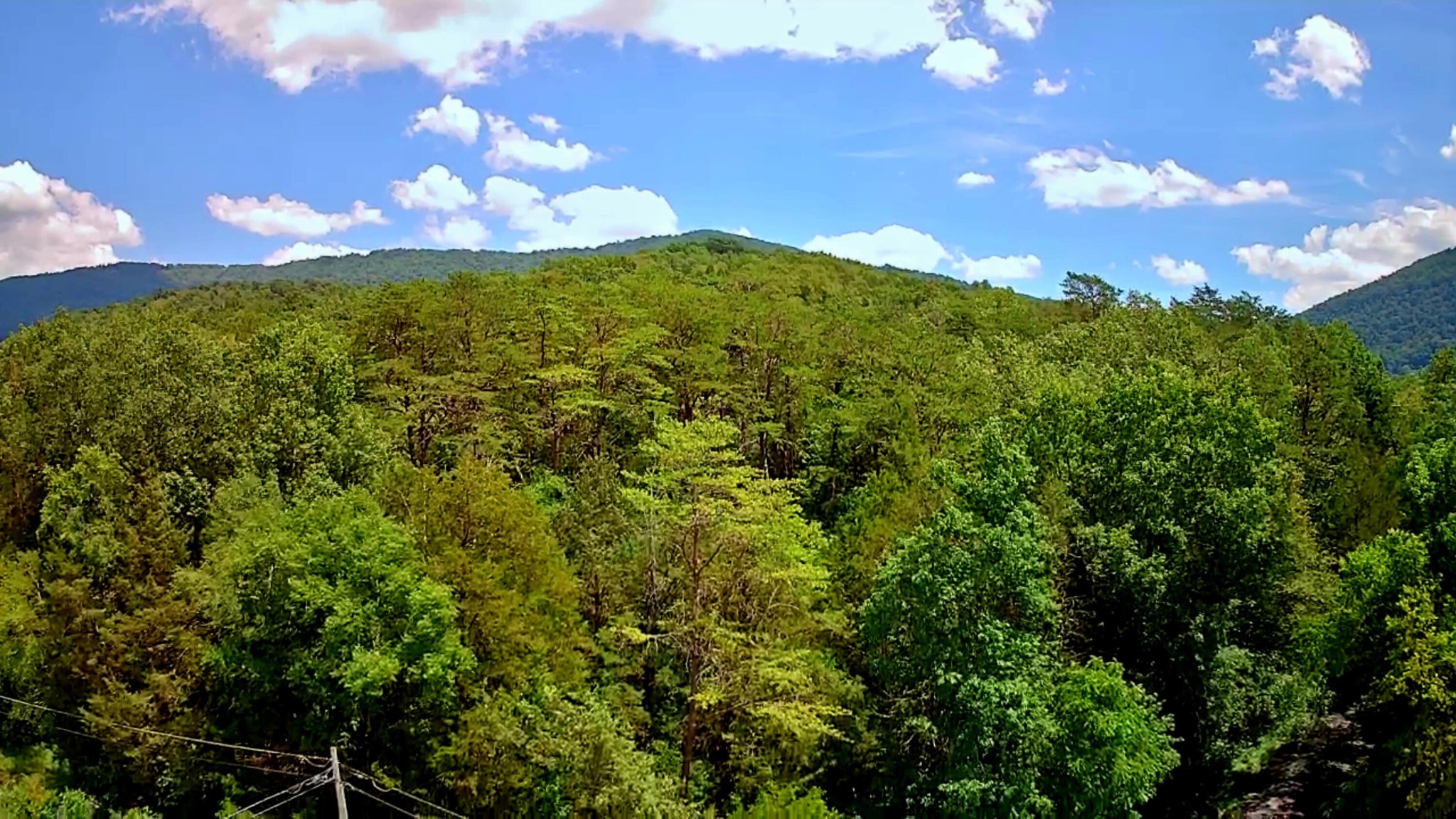 0 East Valley Road Pikeville, TN 37367 - Photo 17 of 18 a view of a lake
