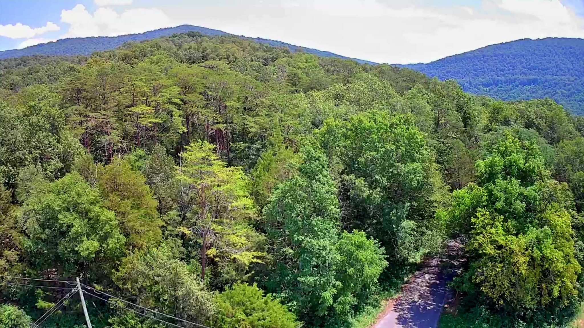 0 East Valley Road Pikeville, TN 37367 - Photo 18 of 18 a view of a large trees with a field