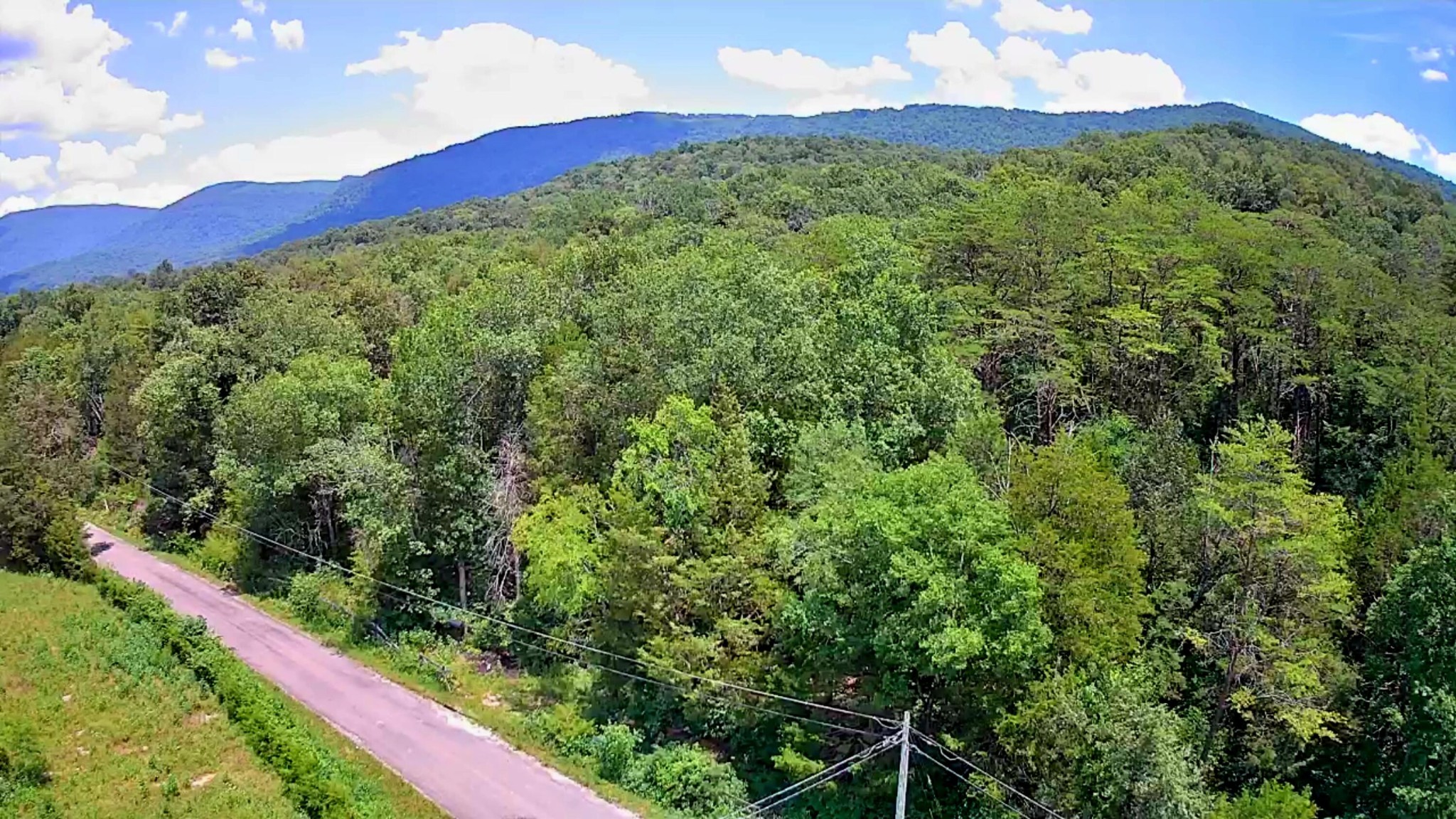 0 East Valley Road Pikeville, TN 37367 - Photo 3 of 18 a view of a lush green forest with houses in the back