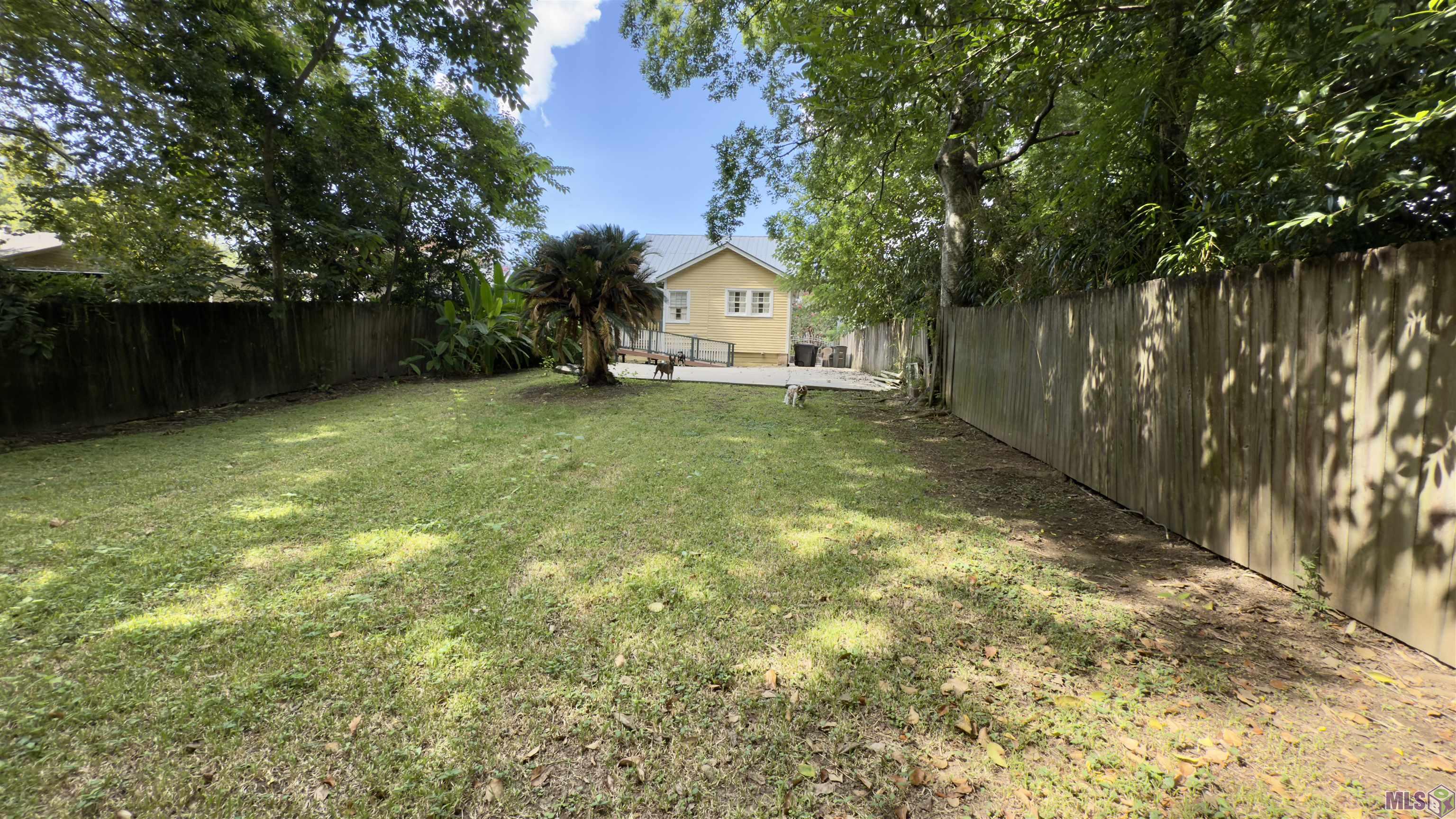 728 Europe Street Baton Rouge, LA 70802 - Photo 23 of 24 Back yard