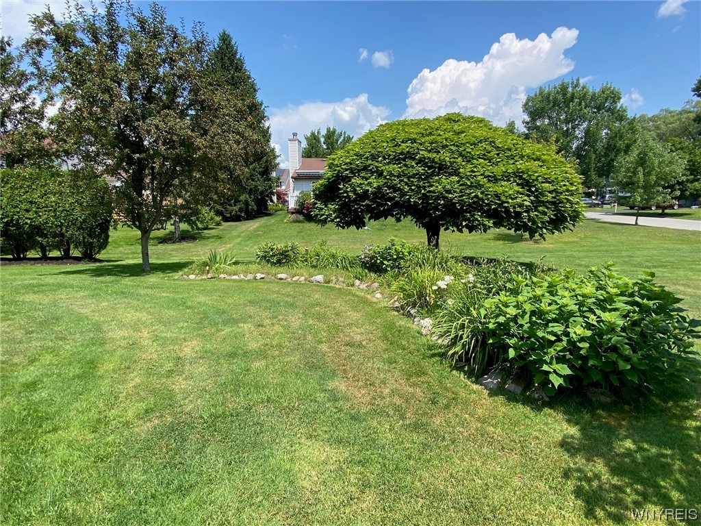 221 Rambling Road Amherst, NY 14051 - Photo 25 of 33 Another view of the yard. Lots of privacy, yet ope