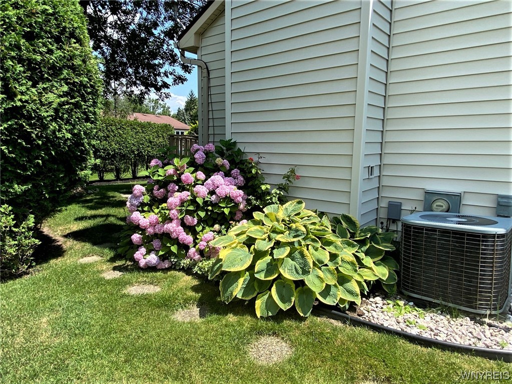 221 Rambling Road Amherst, NY 14051 - Photo 30 of 33 These Hydrangea and Hosta are huge!