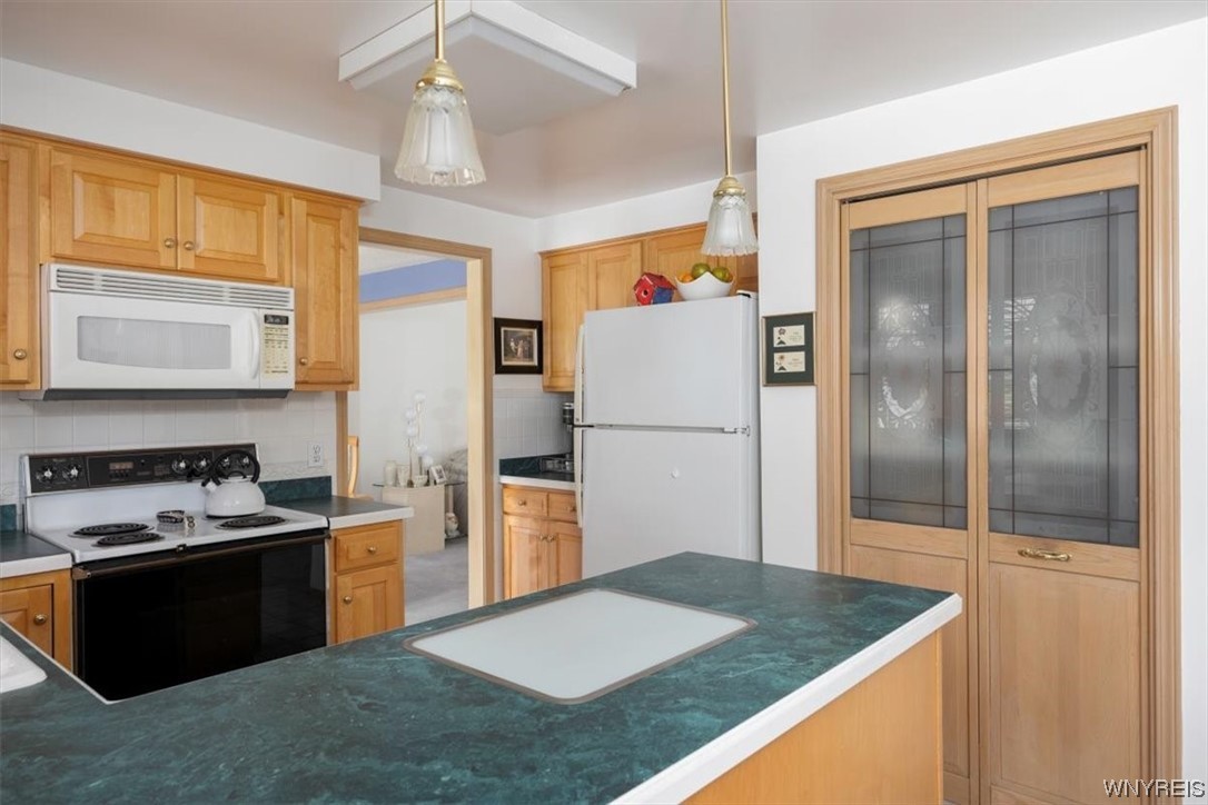 221 Rambling Road Amherst, NY 14051 - Photo 10 of 33 A view of the Pantry, and all appliances stay in t