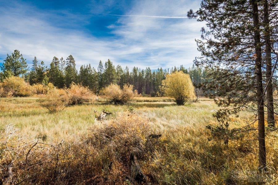17190 Island Loop Way Bend, OR 97707 - Photo 5 of 13 Additional Photo