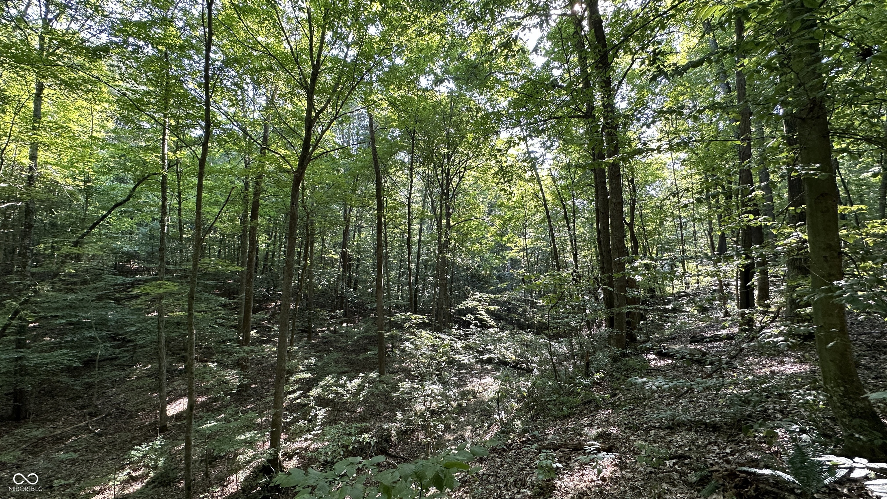2 Webber Hill Road Trafalgar, IN 46181 - Photo 13 of 15 Gallery Image 13