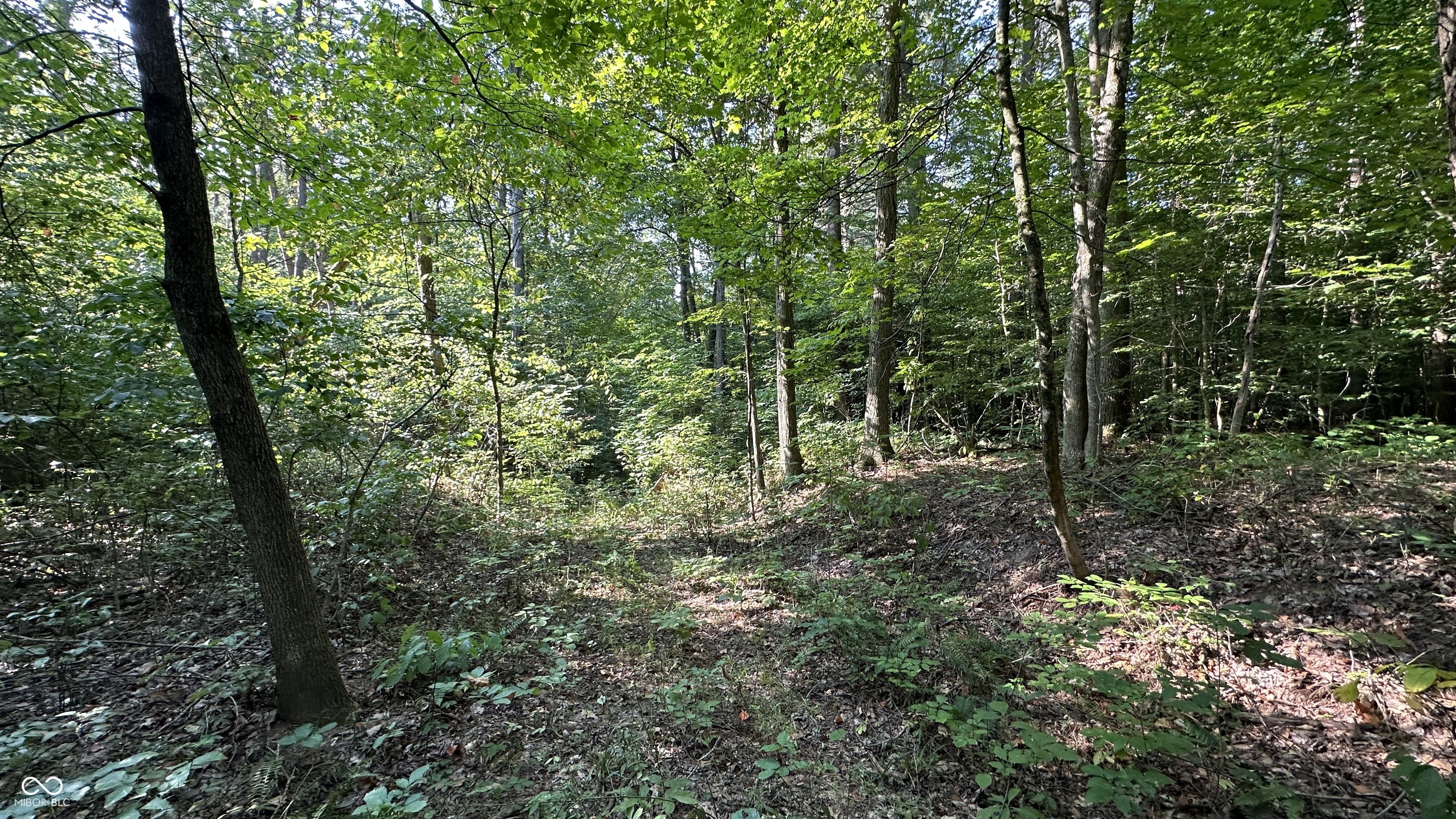 2 Webber Hill Road Trafalgar, IN 46181 - Photo 14 of 15 Gallery Image 14