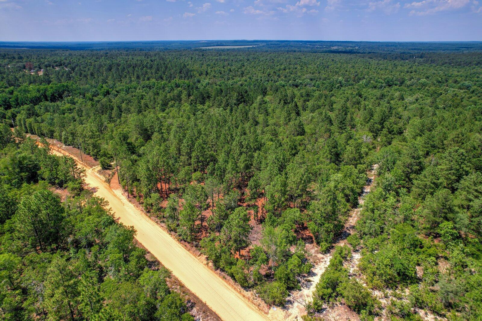 0 Big Branch Road Aiken, SC 29805 - Photo 4 of 14