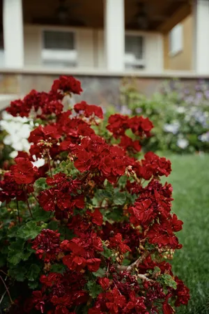 $1,089,000 | 1455 Montauban Court, Tracy, CA 95304