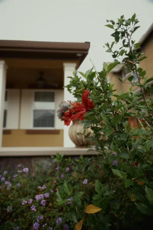 $1,089,000 | 1455 Montauban Court, Tracy, CA 95304