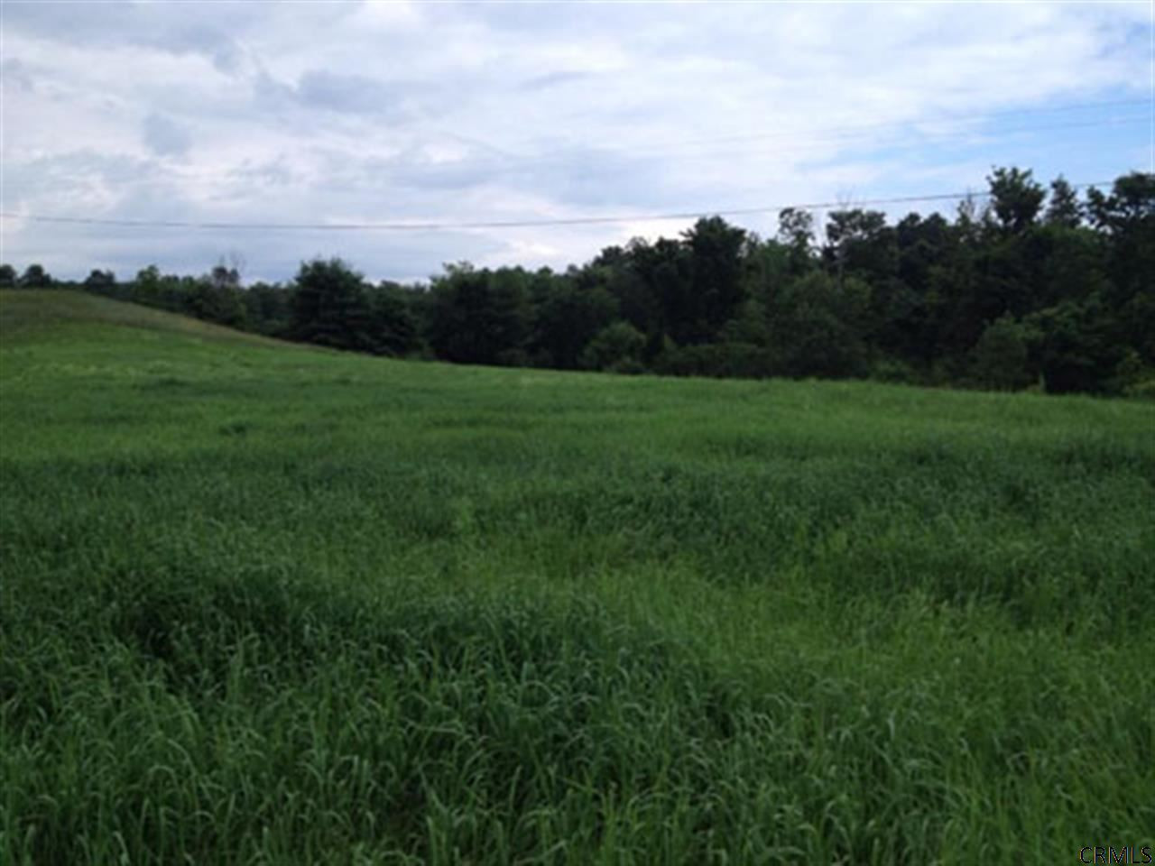 160 County Rte 49 Salem, NY 12865 - Photo 8 of 12 Photo 8