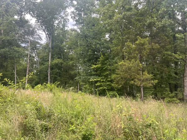 $25,000 | 5 Toms Creek Lake Road, Linden, TN 37096