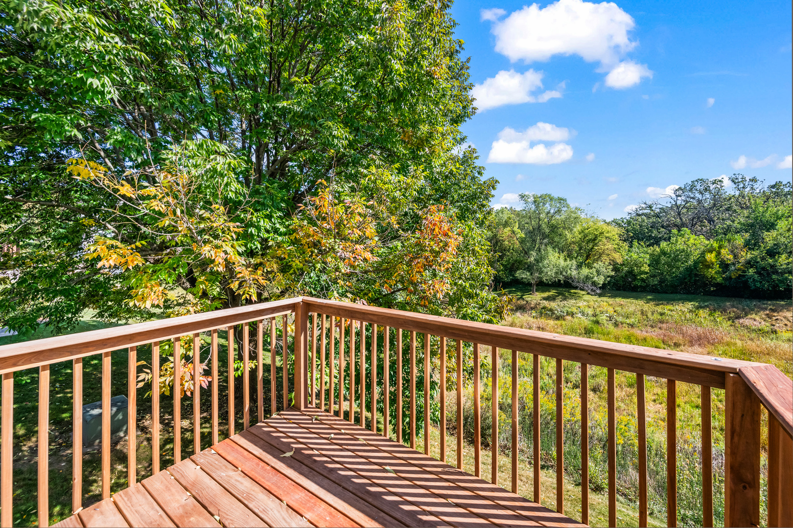 231 Grandview Court Algonquin, IL 60102 - Photo 10 of 17