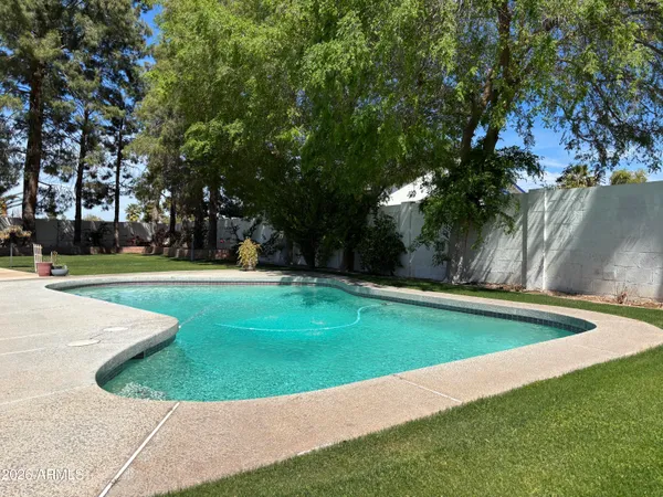 a view of a park with large trees