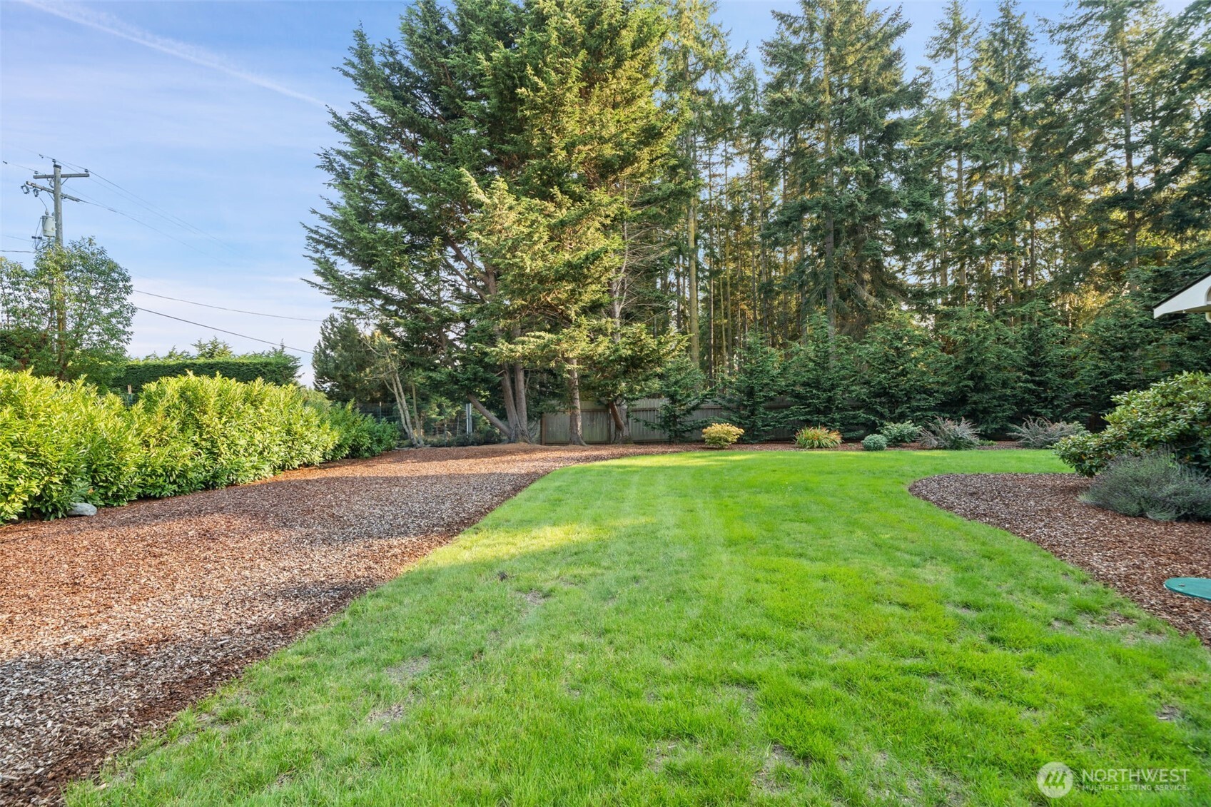 383 Kirner Road Sequim, WA 98382 - Photo 28 of 40 a view of a backyard with large trees